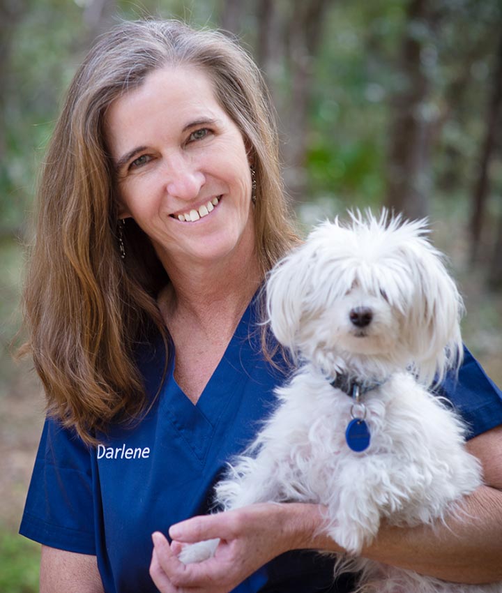 Darlene Aspinwall