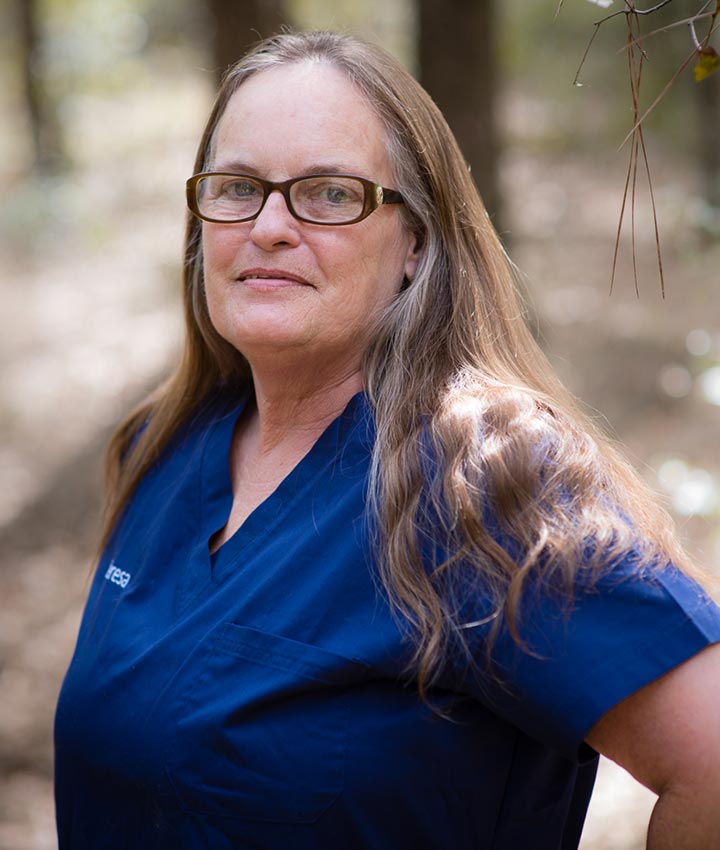 Teresa Stewart