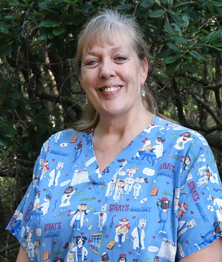 Lisa Birchall